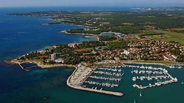 Danex Superior Apartament