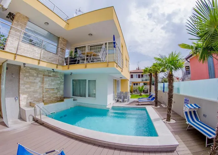 다넥스 수페리어 *