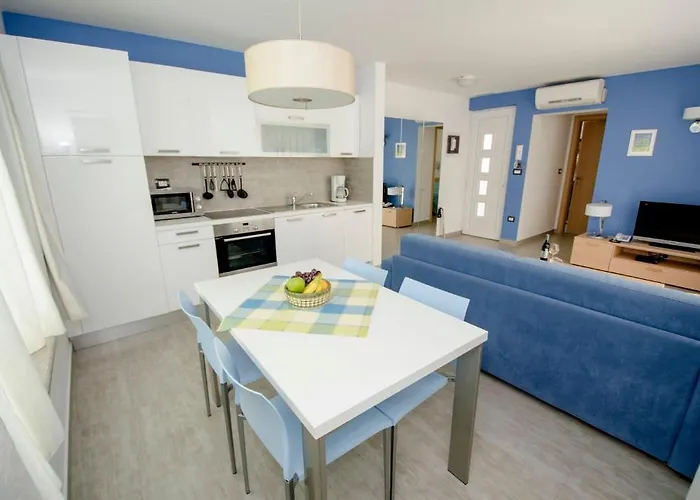 다넥스 수페리어 *